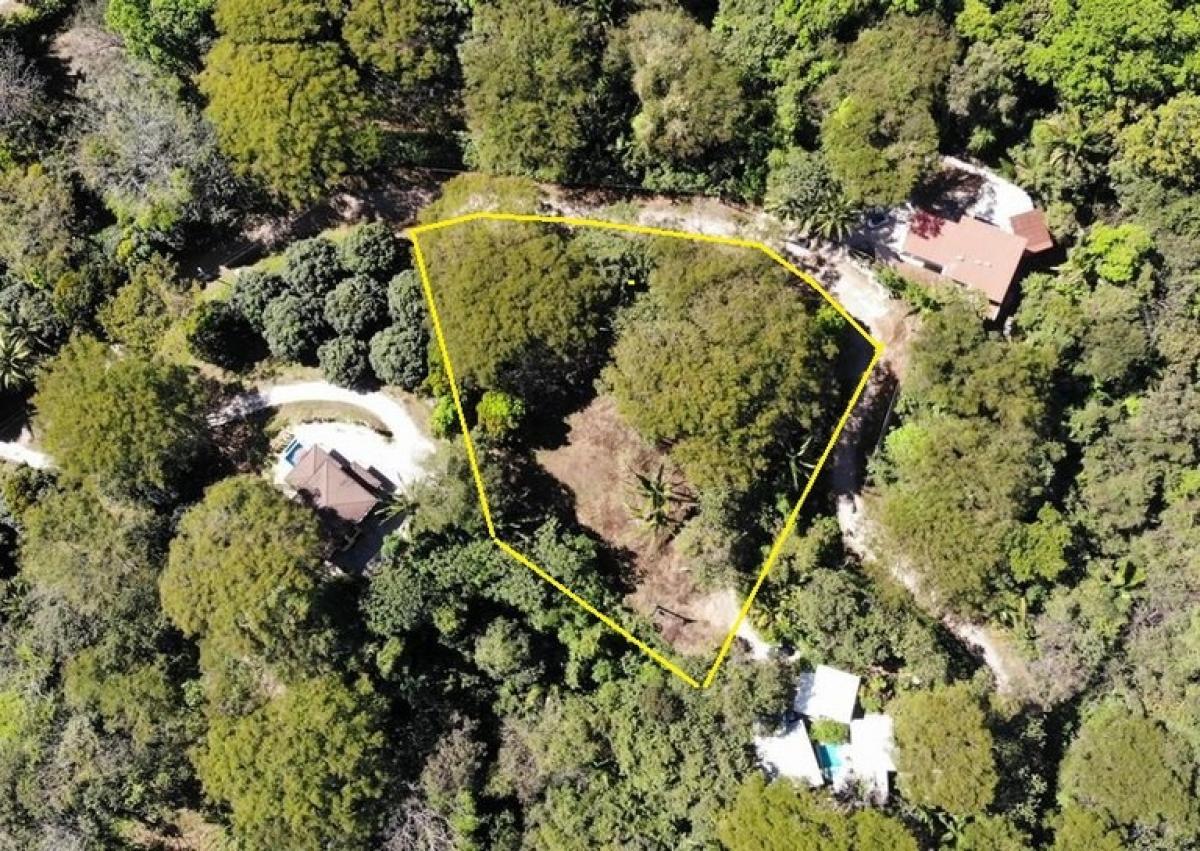  Land in Nicoya, Costa Rica No. 1575