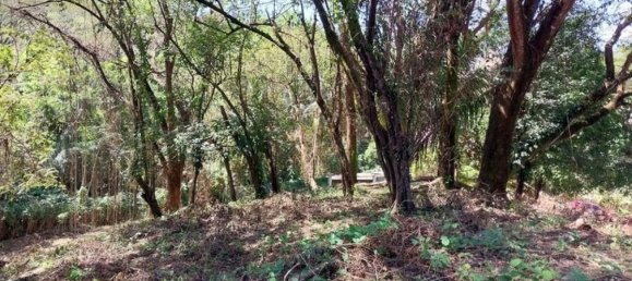  Land in Nicoya, Costa Rica No. 1575 6