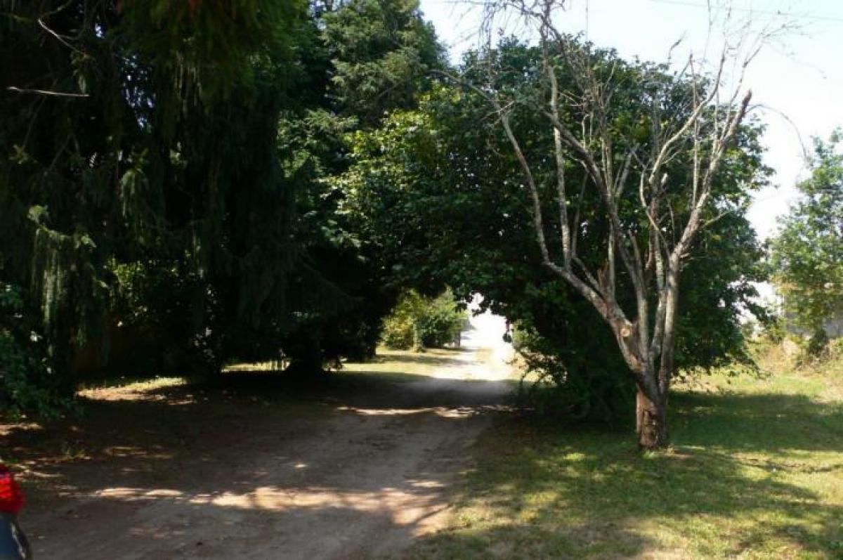 5 bedrooms House in Vila Nova de Gaia, Portugal No. 2654