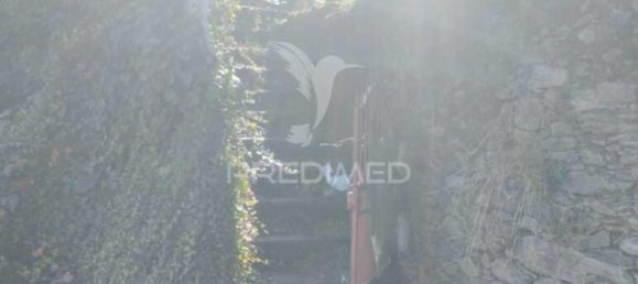 3 bedrooms House in Santa Marta de Penaguiao, Portugal No. 132618 2