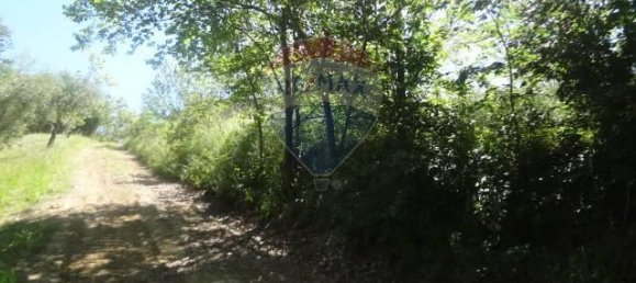 1-Zimmer Grundstück in Casacanditella, Italy, Nr. 65635 5