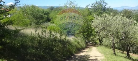 1-Zimmer Grundstück in Casacanditella, Italy, Nr. 65635 3