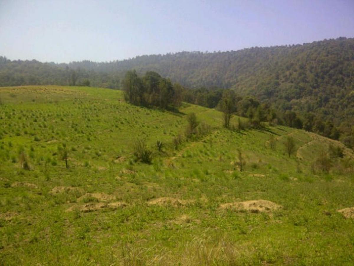 Terrain à Lerma, Mexico No. 205499