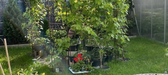 2 غرف نوم تاون هاوس في Dortmund, Germany رقم 218171 3