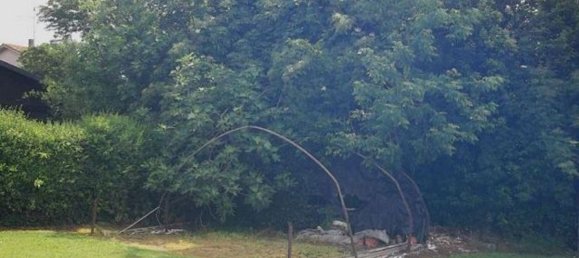 2978m² Land in Frassinelle Polesine, Italy No. 293105 8