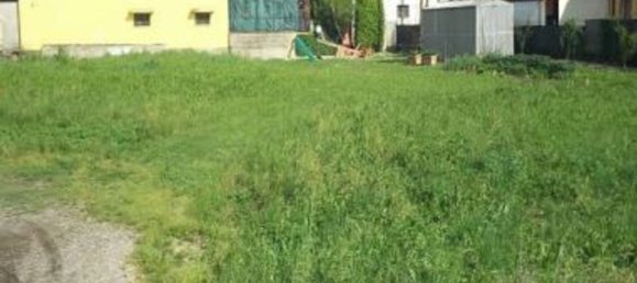 2978m² Land in Frassinelle Polesine, Italy No. 293105 2