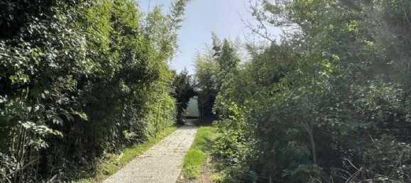 Бунгало с 4 комнатами в Рейн-Зиг, Германия № 197022 34