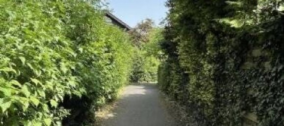 Бунгало с 4 комнатами в Рейн-Зиг, Германия № 197022 30