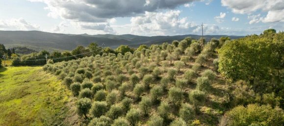 8 bedrooms House in Murlo, Italy No. 54097 31