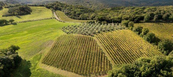 8 bedrooms House in Murlo, Italy No. 54097 32