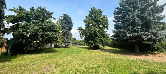 431m² Building in Markisch-Oderland, Germany No. 322419 5