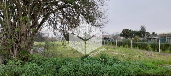 Дом с 1 спальней в Лавуш, Португалия № 34048 4