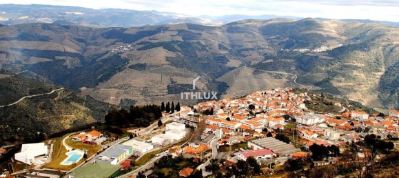 9 bedrooms House in Tabuaco, Portugal No. 135158 22