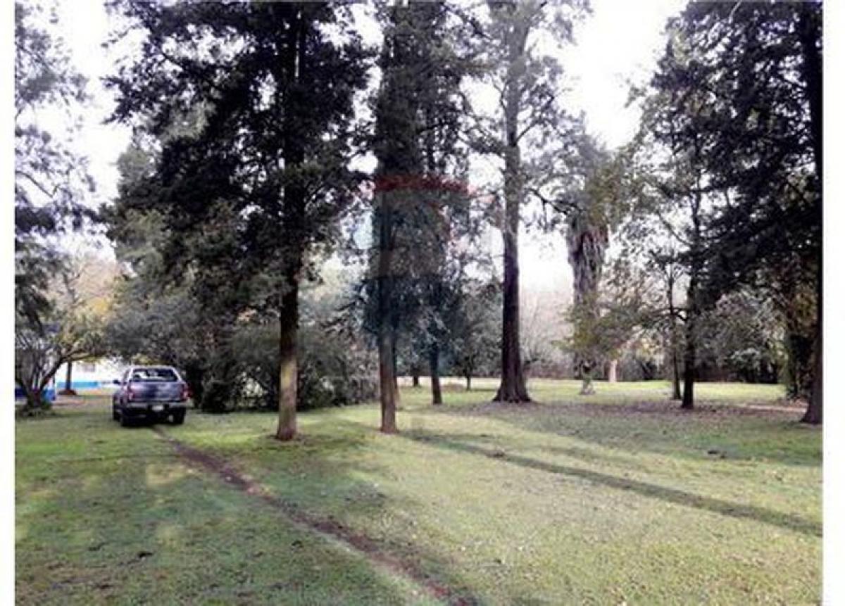 3 bedrooms House in Moreno, Argentina No. 60489