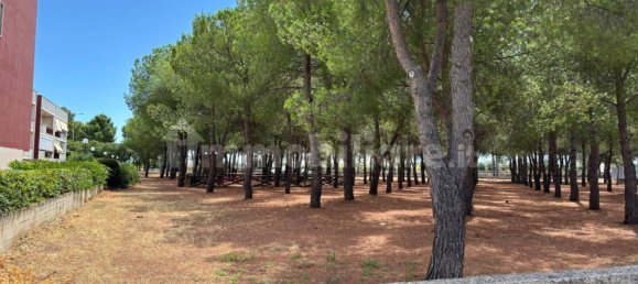 3 Schlafzimmer Penthouse in Monopoli, Italy, Nr. 305821 31