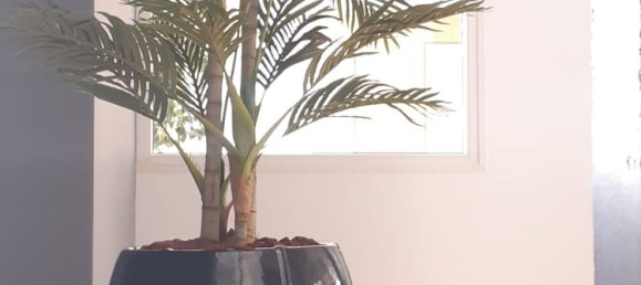 3 bedrooms Apartment in Alicante, Spain No. 148353 24