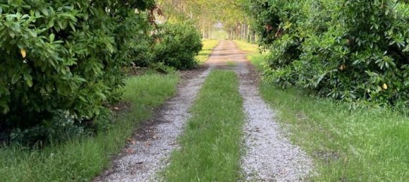 Дом с 10 комнатами в Формиджине, Италия № 164220 3