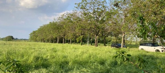 Дом с 10 комнатами в Формиджине, Италия № 164220 7