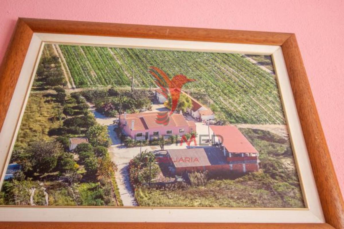 3 dormitorios сasa en venta en Palmela, Setubal, Portugal № 3353
