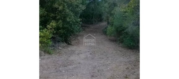 Финка с 5 спальнями в Маон, Испания № 182 7