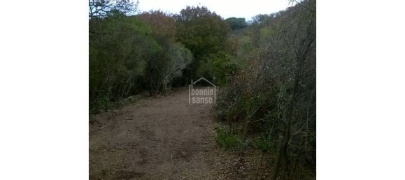 Финка с 5 спальнями в Маон, Испания № 182 8