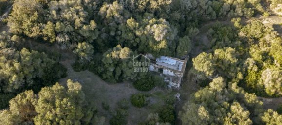 Финка с 5 спальнями в Маон, Испания № 182 17