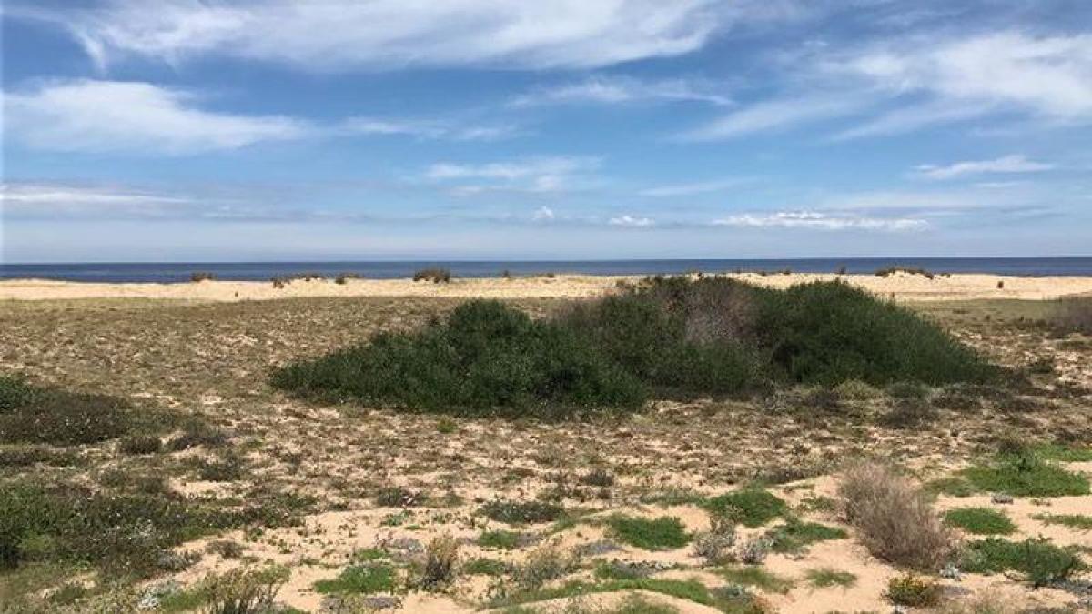  Land in Maldonado, Uruguay No. 15371