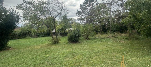 Land in Winzendorf-Muthmannsdorf, Austria No. 248620 2