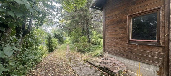 Land in Winzendorf-Muthmannsdorf, Austria No. 248620 8