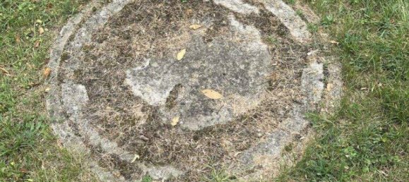 Land in Winzendorf-Muthmannsdorf, Austria No. 248620 4