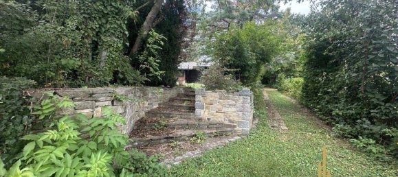 Land in Winzendorf-Muthmannsdorf, Austria No. 248620 13