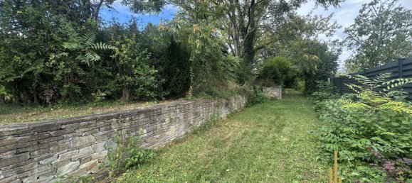 Land in Winzendorf-Muthmannsdorf, Austria No. 248620 14