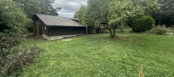 Land in Winzendorf-Muthmannsdorf, Austria No. 248620 12