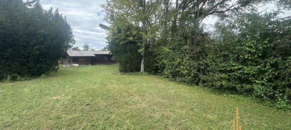 Land in Winzendorf-Muthmannsdorf, Austria No. 248620 17