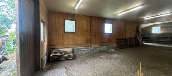 Land in Winzendorf-Muthmannsdorf, Austria No. 248620 3