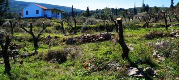 Land for sale in Zakynthos, Ionian Islands, Peloponnese, Western Greece and the Ionian, Greece № 467 2