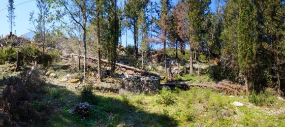 Hotel em Zakynthos, Greece N.º 467 14