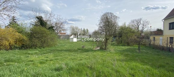 Terreno en Traiskirchen, Austria No. 132911 3