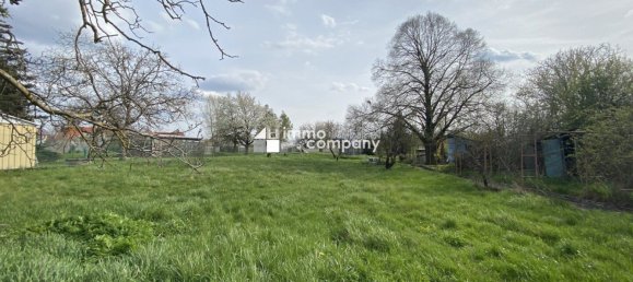 Terreno en Traiskirchen, Austria No. 132911 2