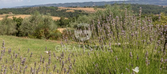 Casa T4 em Fabro, Italy N.º 288037 26