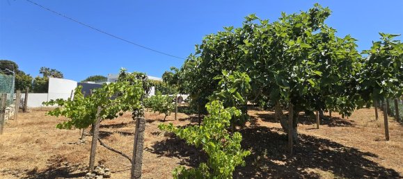 3 chambres Châteaux à Alvor, Portugal No. 142756 19