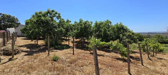 3 chambres Châteaux à Alvor, Portugal No. 142756 23