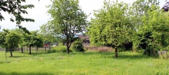 3 bedrooms House in Hersfeld-Rotenburg, Germany No. 186427 4