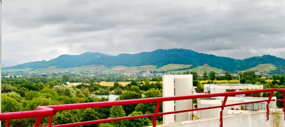 3 Schlafzimmer Penthouse in Ortenaukreis, Germany, Nr. 327851 8