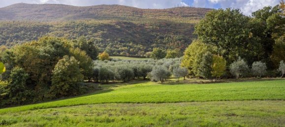 28غرفة منزل في Cetona, Italy رقم 52864 4