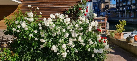 1 Schlafzimmer Wohnung in Deauville, France, Nr. 203310 3