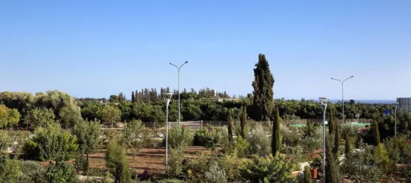 2 Schlafzimmer Villa in Geroskípou, Cyprus, Nr. 1441 6