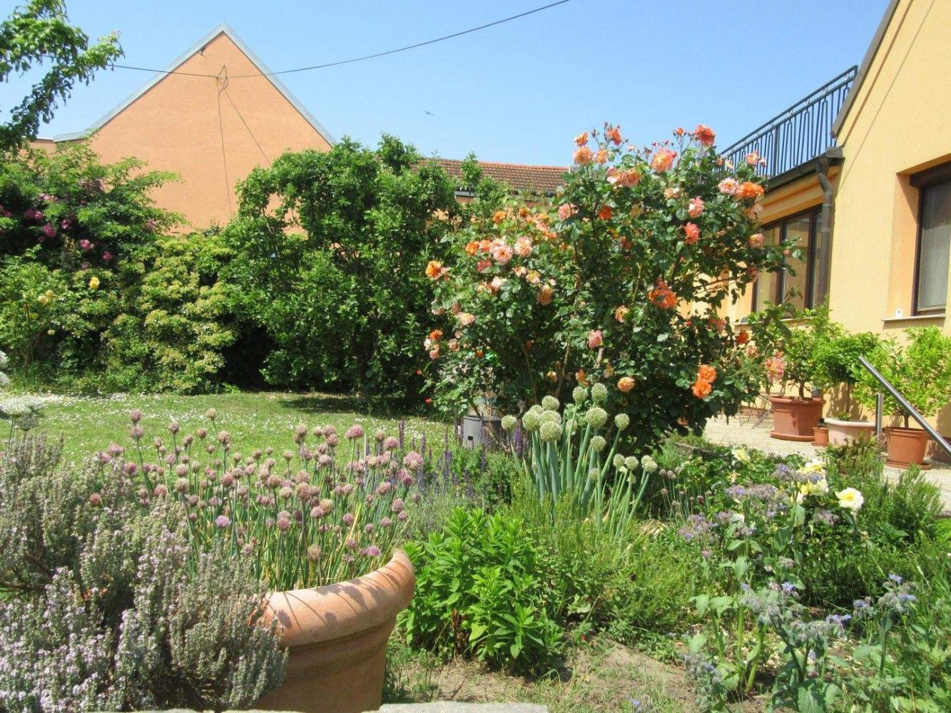 3 rooms House in Drosing, Austria No. 201983