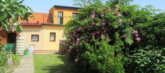 3 rooms House in Drosing, Austria No. 201983 21