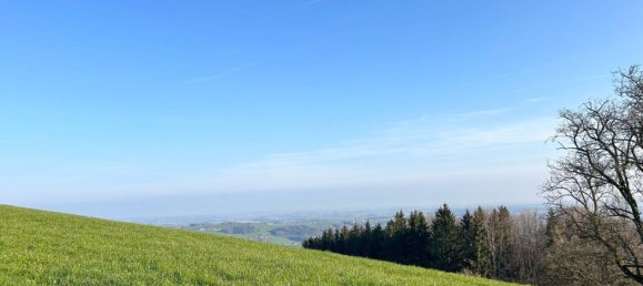 Земельный участок в Штайнбах ан дер Штейр, Австрия № 244776 5